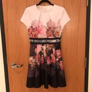 Ted Baker London skater floral dress